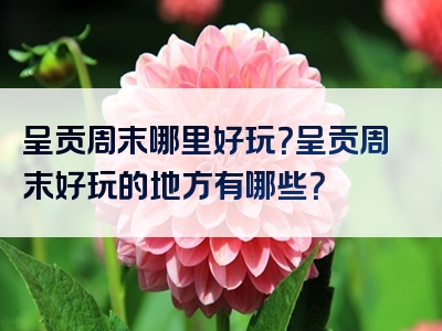 呈贡周末哪里好玩？呈贡周末好玩的地方有哪些？