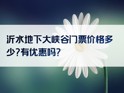 沂水地下大峡谷门票价格多少？有优惠吗？