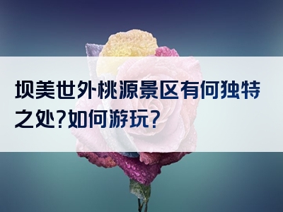 坝美世外桃源景区有何独特之处？如何游玩？