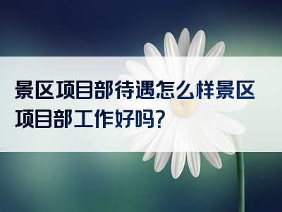 景区项目部待遇怎么样景区项目部工作好吗？