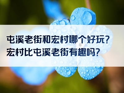 屯溪老街和宏村哪个好玩？宏村比屯溪老街有趣吗？