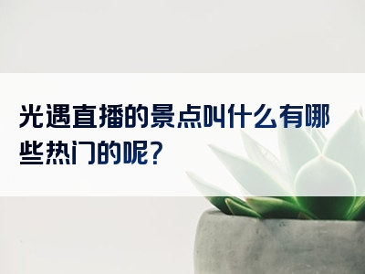 光遇直播的景点叫什么有哪些热门的呢？