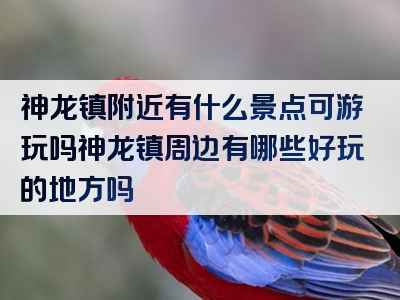 神龙镇附近有什么景点可游玩吗神龙镇周边有哪些好玩的地方吗