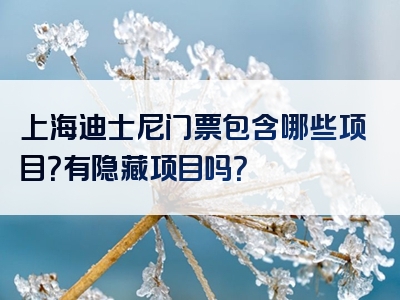 上海迪士尼门票包含哪些项目？有隐藏项目吗？