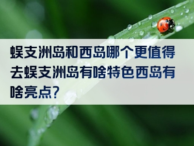 蜈支洲岛和西岛哪个更值得去蜈支洲岛有啥特色西岛有啥亮点？