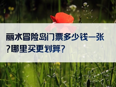 丽水冒险岛门票多少钱一张？哪里买更划算？