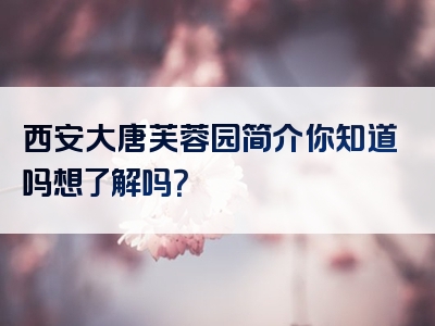 西安大唐芙蓉园简介你知道吗想了解吗？