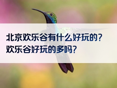 北京欢乐谷有什么好玩的？欢乐谷好玩的多吗？