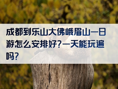 成都到乐山大佛峨眉山一日游怎么安排好？一天能玩遍吗？