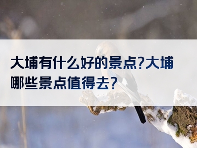 大埔有什么好的景点？大埔哪些景点值得去？