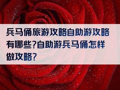 兵马俑旅游攻略自助游攻略有哪些？自助游兵马俑怎样做攻略？