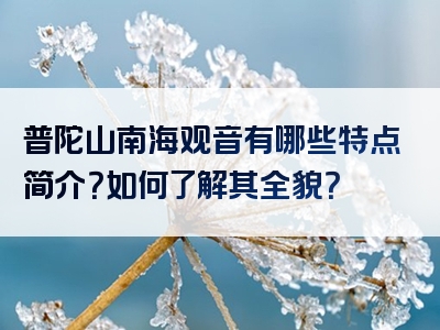 普陀山南海观音有哪些特点简介？如何了解其全貌？