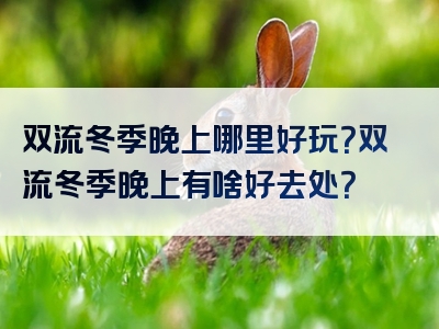 双流冬季晚上哪里好玩？双流冬季晚上有啥好去处？