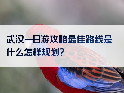 武汉一日游攻略最佳路线是什么怎样规划？