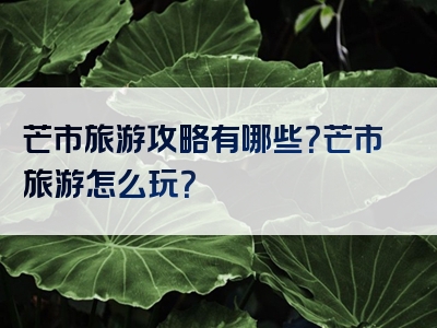 芒市旅游攻略有哪些？芒市旅游怎么玩？