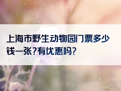 上海市野生动物园门票多少钱一张？有优惠吗？