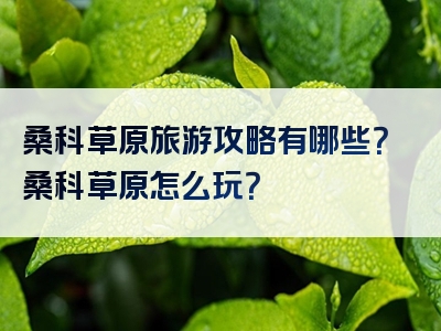 桑科草原旅游攻略有哪些？桑科草原怎么玩？