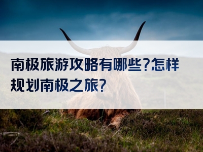 南极旅游攻略有哪些？怎样规划南极之旅？