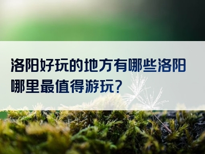 洛阳好玩的地方有哪些洛阳哪里最值得游玩？