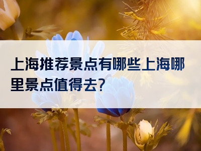 上海推荐景点有哪些上海哪里景点值得去？