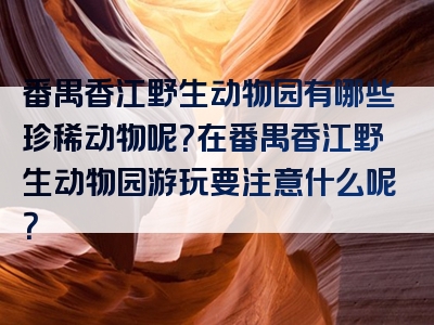 番禺香江野生动物园有哪些珍稀动物呢？在番禺香江野生动物园游玩要注意什么呢？