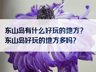 东山岛有什么好玩的地方？东山岛好玩的地方多吗？