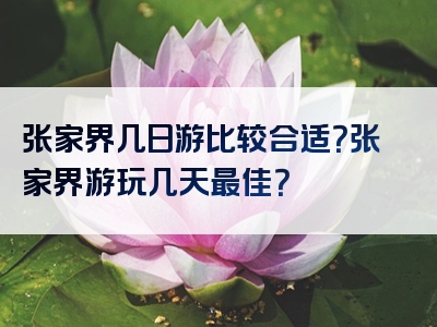 张家界几日游比较合适？张家界游玩几天最佳？