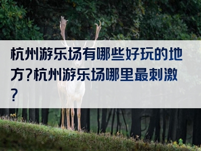 杭州游乐场有哪些好玩的地方？杭州游乐场哪里最刺激？