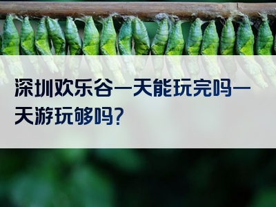 深圳欢乐谷一天能玩完吗一天游玩够吗？