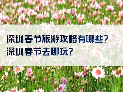 深圳春节旅游攻略有哪些？深圳春节去哪玩？