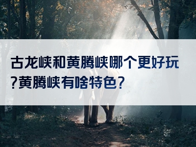 古龙峡和黄腾峡哪个更好玩？黄腾峡有啥特色？