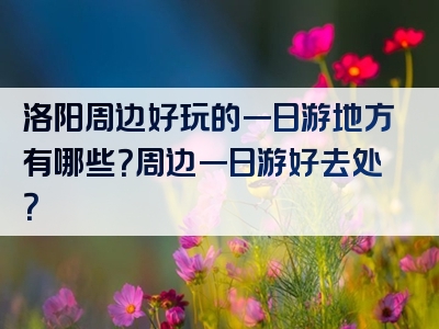 洛阳周边好玩的一日游地方有哪些？周边一日游好去处？