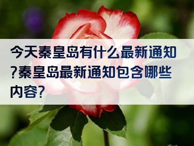 今天秦皇岛有什么最新通知？秦皇岛最新通知包含哪些内容？