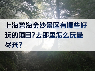 上海碧海金沙景区有哪些好玩的项目？去那里怎么玩最尽兴？