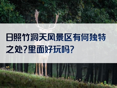 日照竹洞天风景区有何独特之处？里面好玩吗？