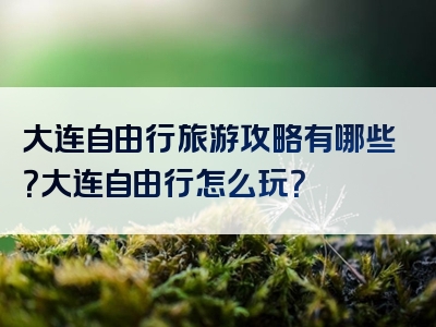 大连自由行旅游攻略有哪些？大连自由行怎么玩？