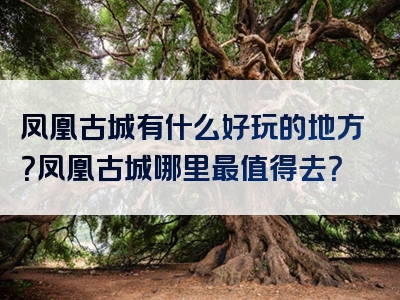 凤凰古城有什么好玩的地方？凤凰古城哪里最值得去？