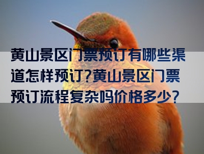 黄山景区门票预订有哪些渠道怎样预订？黄山景区门票预订流程复杂吗价格多少？