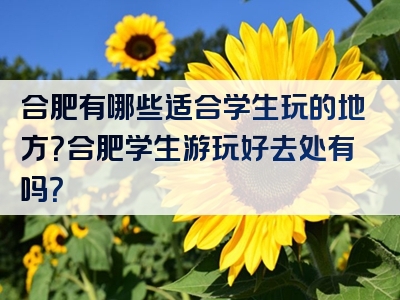 合肥有哪些适合学生玩的地方？合肥学生游玩好去处有吗？