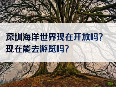 深圳海洋世界现在开放吗？现在能去游览吗？