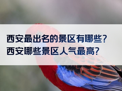 西安最出名的景区有哪些？西安哪些景区人气最高？