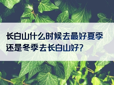 长白山什么时候去最好夏季还是冬季去长白山好？