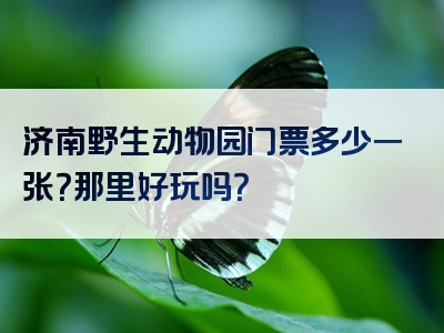 济南野生动物园门票多少一张？那里好玩吗？