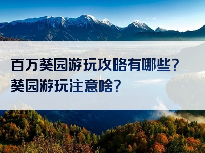 百万葵园游玩攻略有哪些？葵园游玩注意啥？