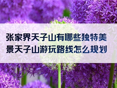 张家界天子山有哪些独特美景天子山游玩路线怎么规划