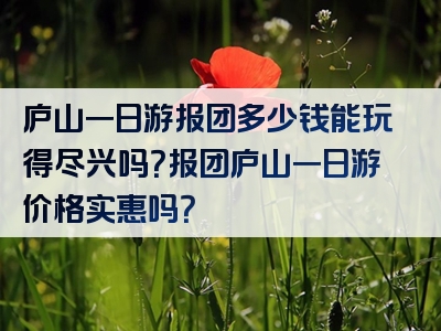 庐山一日游报团多少钱能玩得尽兴吗？报团庐山一日游价格实惠吗？