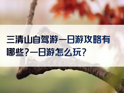 三清山自驾游一日游攻略有哪些？一日游怎么玩？