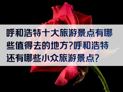 呼和浩特十大旅游景点有哪些值得去的地方？呼和浩特还有哪些小众旅游景点？