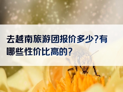 去越南旅游团报价多少？有哪些性价比高的？