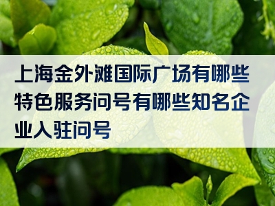 上海金外滩国际广场有哪些特色服务问号有哪些知名企业入驻问号